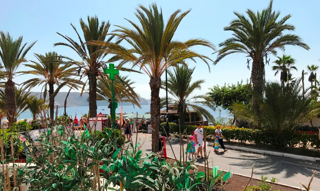 Poolanlage mit Palmen und Blick zum Atlantik